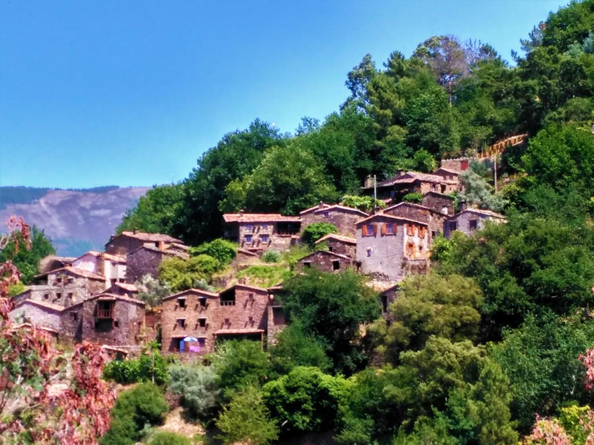 Talasnal Casa Do Cascao Lousã Екстериор снимка